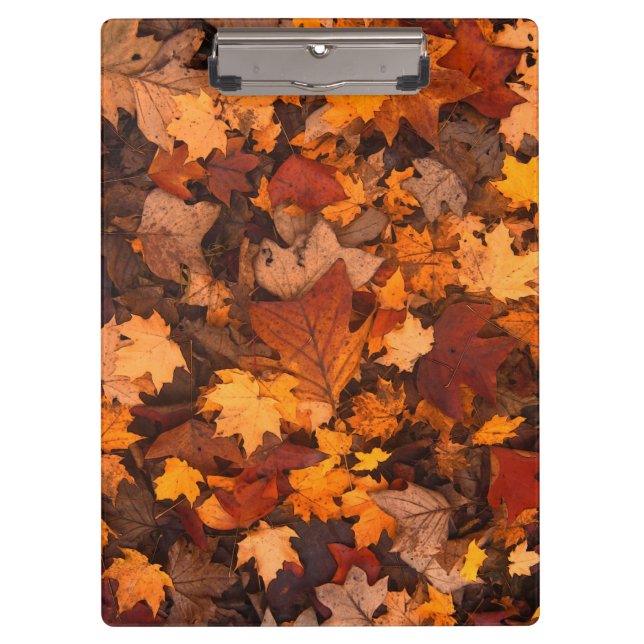 Carpeta De Pinza el otoño (Anverso)