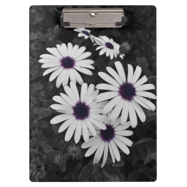 Carpeta De Pinza El sutil contraste de la naturaleza (Anverso)