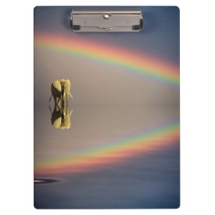 Carpeta De Pinza Elefante, agua y arcoíris, Kenia