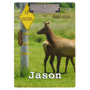 Carpeta De Pinza Elk Crossing California Wildlife Photography