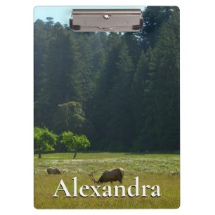 Carpeta De Pinza Elk Meadow en el parque nacional de Redwood