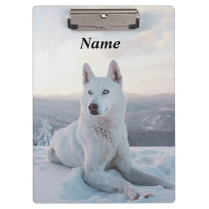 Carpeta De Pinza Encantando Perro Husky Blanco en la nieve