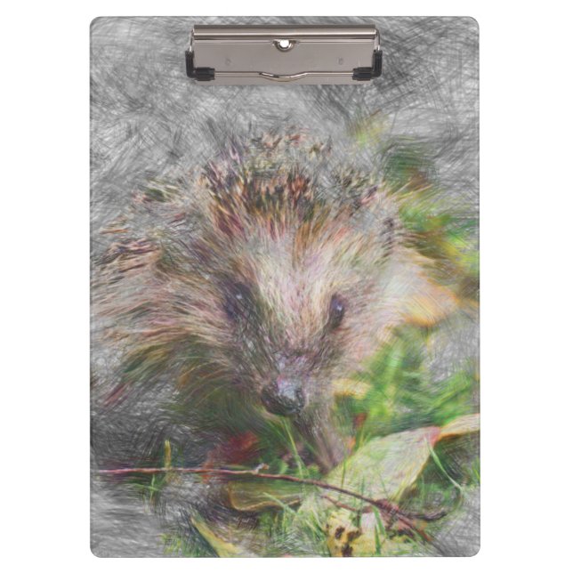 Carpeta De Pinza erizo de animales artísticos (Anverso)