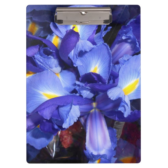 Carpeta De Pinza Ermengarde (Anverso)