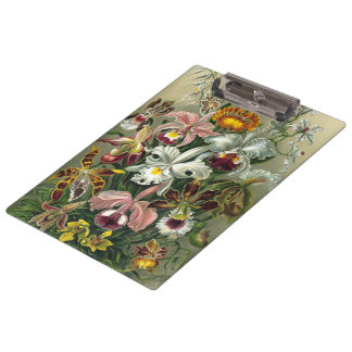 Carpeta De Pinza Ernst Haeckel Orquídeas, Flores Vintage de bosque 