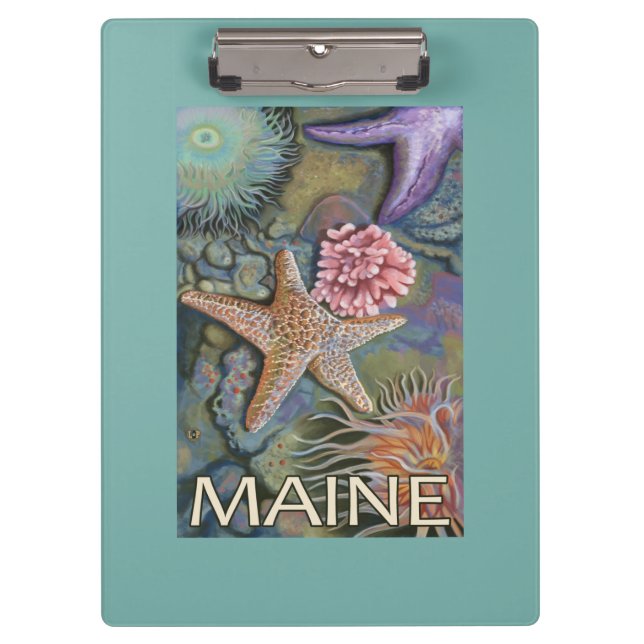 Carpeta De Pinza Escena de MaineTidepool (Anverso)