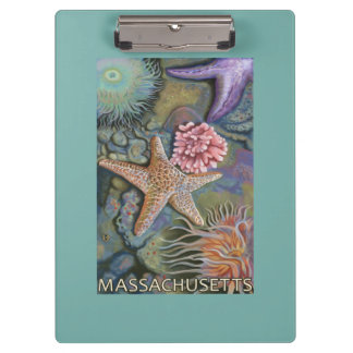 Carpeta De Pinza Escena de MassachusettsTidepool