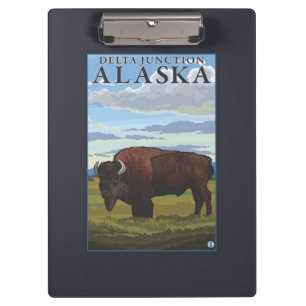 Carpeta De Pinza Escena del bisonte - empalme del delta, Alaska