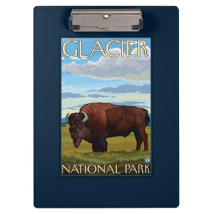 Carpeta De Pinza Escena del bisonte - Parque Nacional Glacier, TA