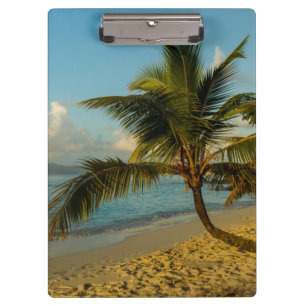 Carpeta De Pinza Escénico de playa