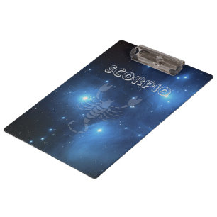 Carpeta De Pinza Escorpión transparente