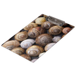 Carpeta De Pinza Estanques de caracol
