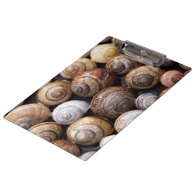 Carpeta De Pinza Estanques de caracol (Angular)