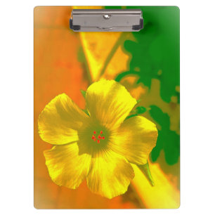 CARPETA DE PINZA ESTILO Y DISEÑO DE CLIPBOARD