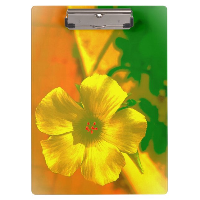 CARPETA DE PINZA ESTILO Y DISEÑO DE CLIPBOARD (Anverso)