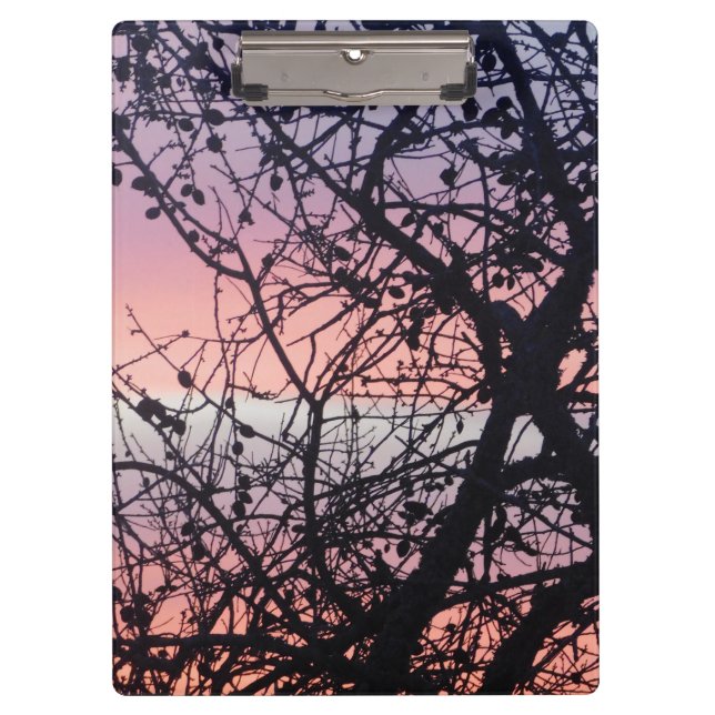 CARPETA DE PINZA ESTILO Y DISEÑO DE CLIPBOARD (Anverso)