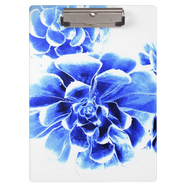 CARPETA DE PINZA ESTILO Y DISEÑO DE CLIPBOARD (Anverso)