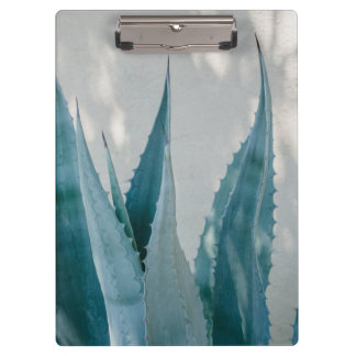 Carpeta De Pinza Estire y crezca