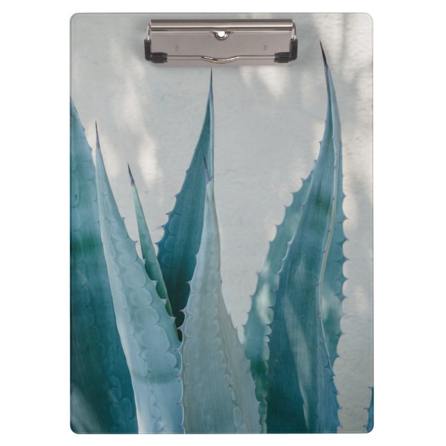 Carpeta De Pinza Estire y crezca (Anverso)