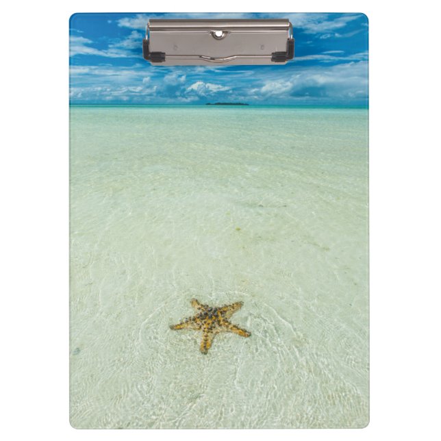 Carpeta De Pinza Estrella del mar en aguas poco profundas, Palau (Anverso)