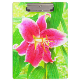 Carpeta De Pinza Estrella rosa profunda bonito Lily en verde anime