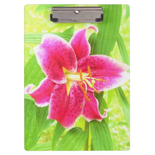 Carpeta De Pinza Estrella rosa profunda bonito Lily en verde anime (Anverso)