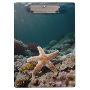 Carpeta De Pinza Estrellas de mar en el mar profundo