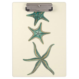 Carpeta De Pinza Estrellas de mar triples del Aquamarine