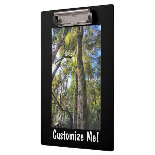 Carpeta De Pinza Eucaliptus Gum Trees de la selva tropical australi