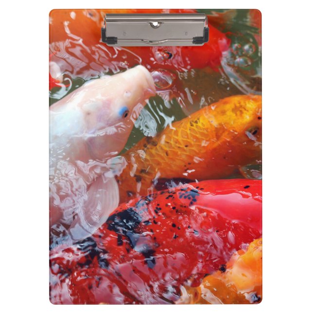 Carpeta De Pinza Falln que recolecta Koi (Anverso)