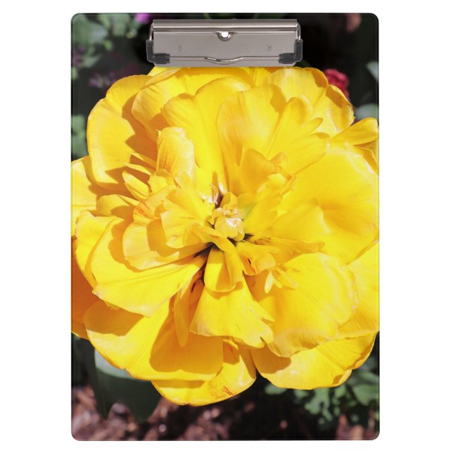 Carpeta De Pinza Falln Sunshine Floral (Anverso)