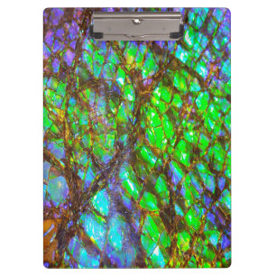 Carpeta De Pinza Faln Peacock Ammolite
