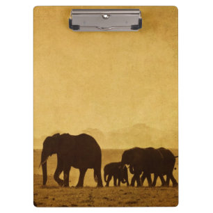 Carpeta De Pinza Familia del elefante