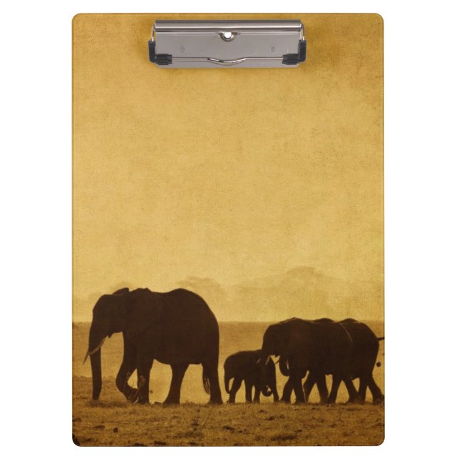 Carpeta De Pinza Familia del elefante (Anverso)