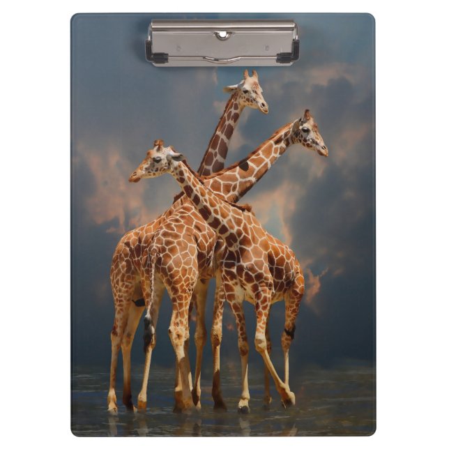 CARPETA DE PINZA FANTASÍA DE GIRAFFIC (Anverso)