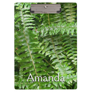 Carpeta De Pinza Fern Fronds I Green Nature