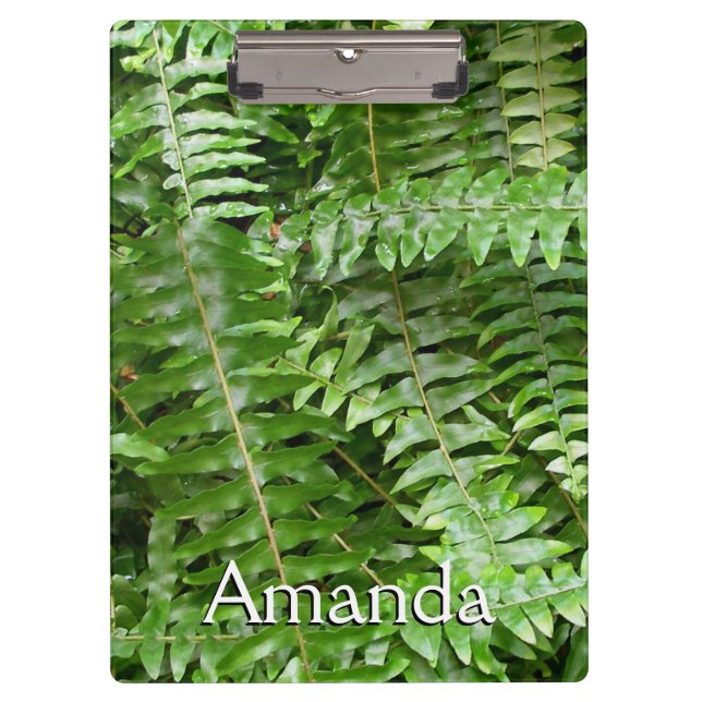 Carpeta De Pinza Fern Fronds I Green Nature (Anverso)