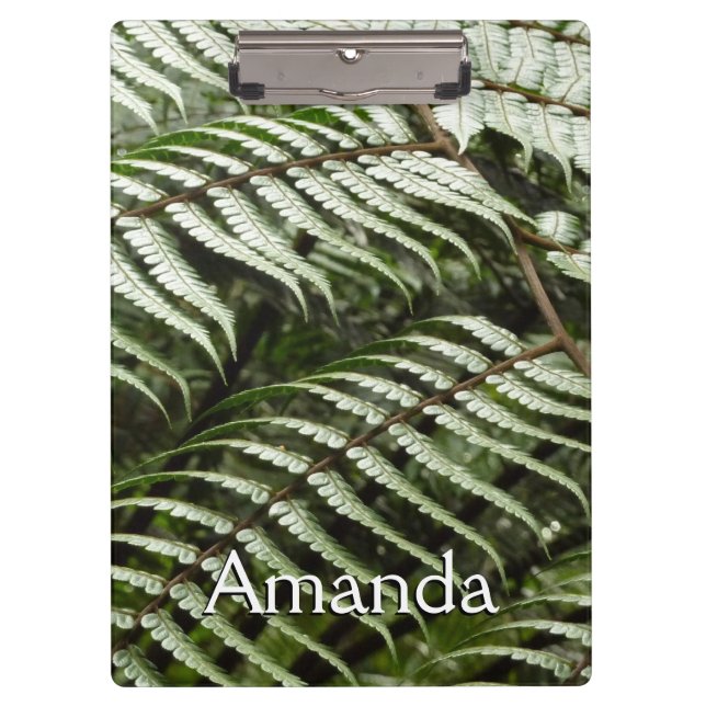 Carpeta De Pinza Fern Fronds II Naturaleza verde oscura (Anverso)