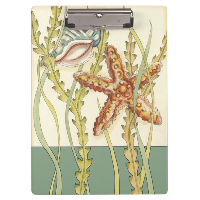 Carpeta De Pinza Fiesta de shell multicolor (Anverso)