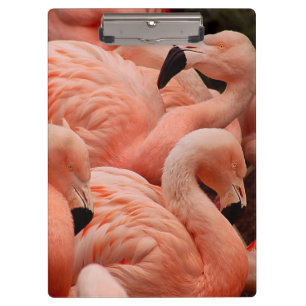 Carpeta De Pinza Flamencos rosados