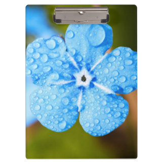 Carpeta De Pinza Flor azul de Dewey