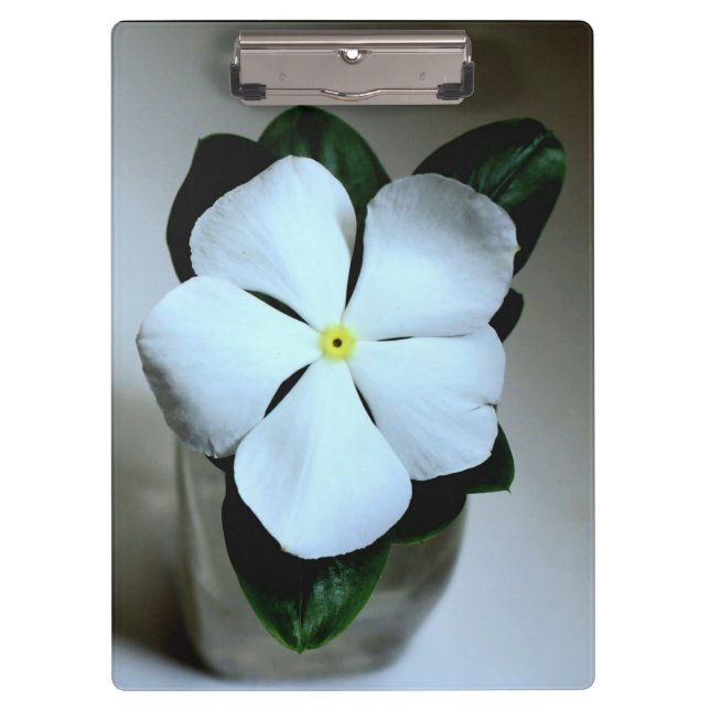 Carpeta De Pinza Flor blanca (Anverso)