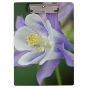 Carpeta De Pinza Flor bonita de Columbine