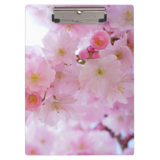 Carpeta De Pinza Flor de cerezo (Anverso)