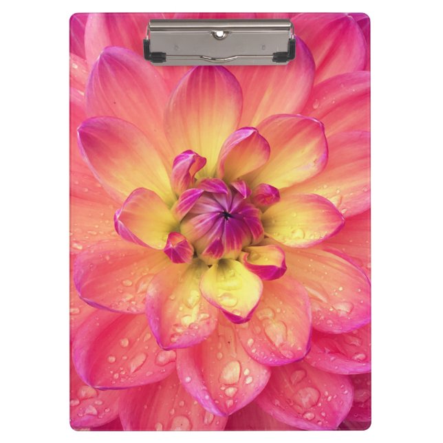 Carpeta De Pinza Flor de dalia rosa coral (Anverso)