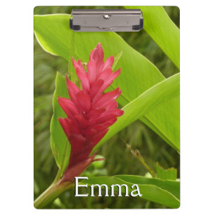 Carpeta De Pinza Flor de Jengibre Rojo (Alpinia) Tropical
