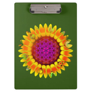 Carpeta De Pinza Flor de la Vida - Flor Geométrica 4