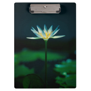 Carpeta De Pinza Flor de Lirio de Agua Blanca