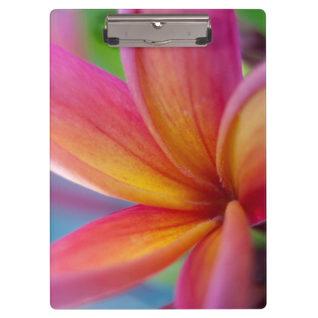 Carpeta De Pinza Flor de Plumeria Tropical Rosa Profunda Naranja Am (Anverso)