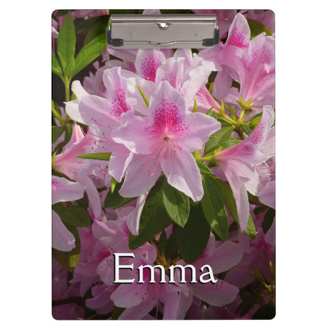 Carpeta De Pinza Flor de primavera rosada de Azalea Bush (Anverso)